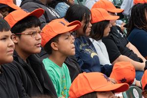 Tigers Game